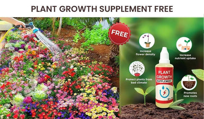 Varieties of Flower Seeds (Pack of 100) Free Plant Growth Supplement