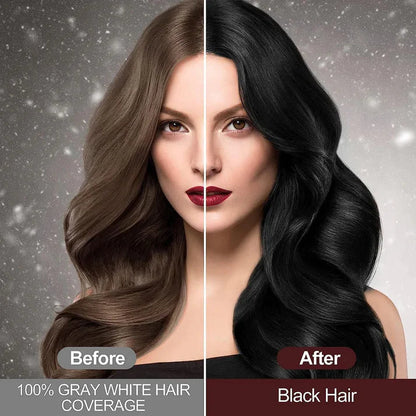 ✨The New-Black Hair Dye Shampoo Instant 3 in 1-100% Black Coverage - Buy 1 Get 1 Free 🔥