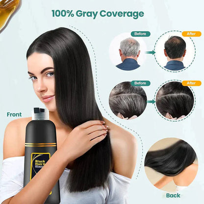 ✨The New-Black Hair Dye Shampoo Instant 3 in 1-100% Black Coverage - Buy 1 Get 1 Free 🔥